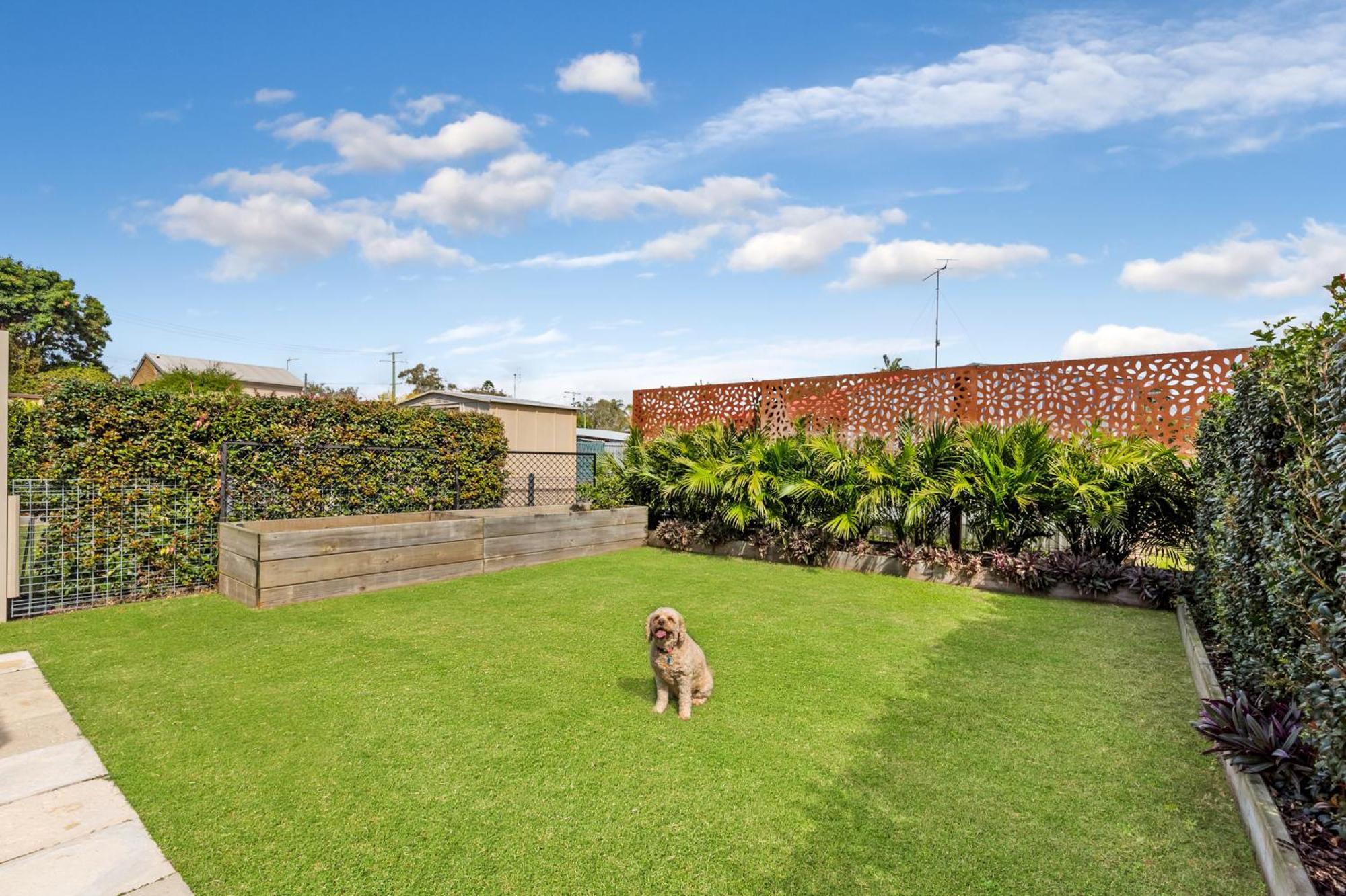 Pet Pawfect Coastal * Maroochydore